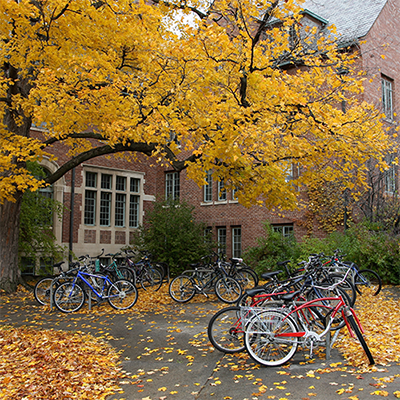 College campus in the fall, with bicycles parked under a tree.